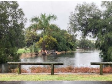 State of pond in the heart of suburbia on agenda of first 2025 council meeting