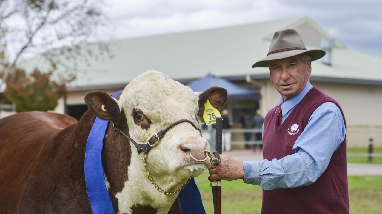 Photos of the Hereford National Show and Sale in Wodonga | The Weekly Times