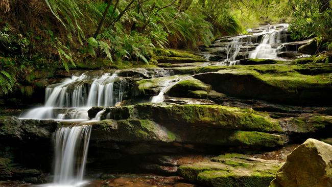 Plan ahead to maximise your weekends, so take a Friday off and explore the Blue Mountains. Picture: Andrii Slonchak