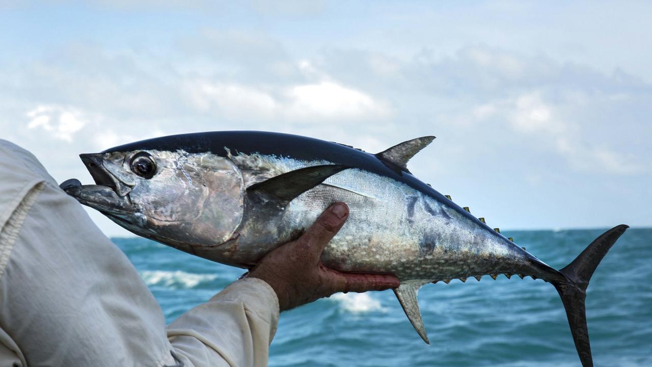 Barranyi Island is popular among keen anglers. Picture: Tourism NT Escape