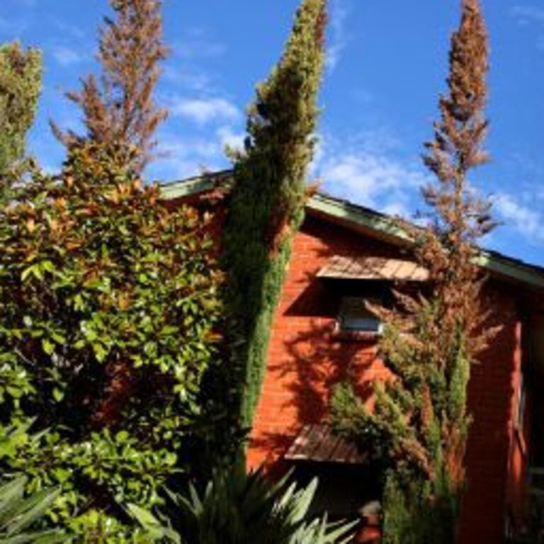 Port Macquarie woman Lynette May Schulze lost her court case over a neighbour’s hedge. Picture: NCA NewsWire/Kelly Barnes