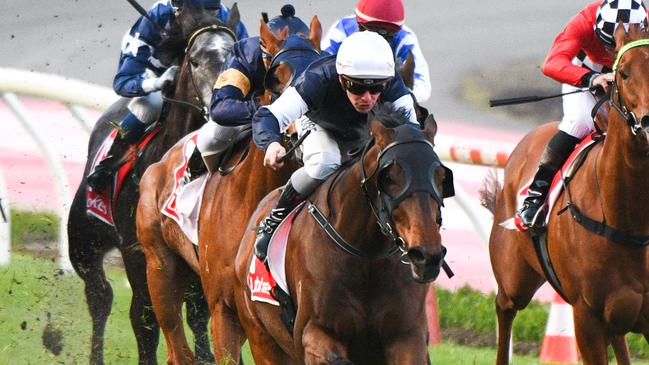 Homesman is favourite to win the Group 1 Underwood Stakes. Picture: AAP