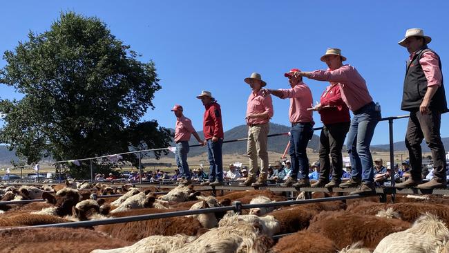 Livestock agents take the bids during the mountain calf sales. Picture: Fiona Myers