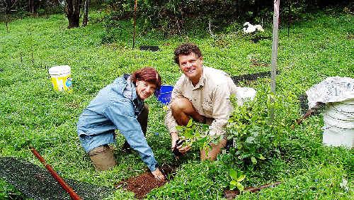 DECCW senior threatened species officer Dianne Brown with Northern Rivers CMA catchment officer, John Nagle, planting out the endangered Coastal Fontainea plants grown from genetically selected plant material.