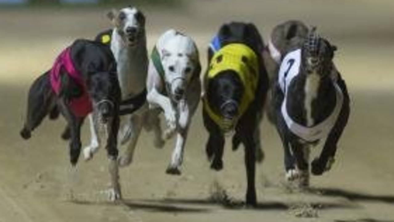 There are 10 races on the program at tonight’s Rockhampton greyhound meeting.