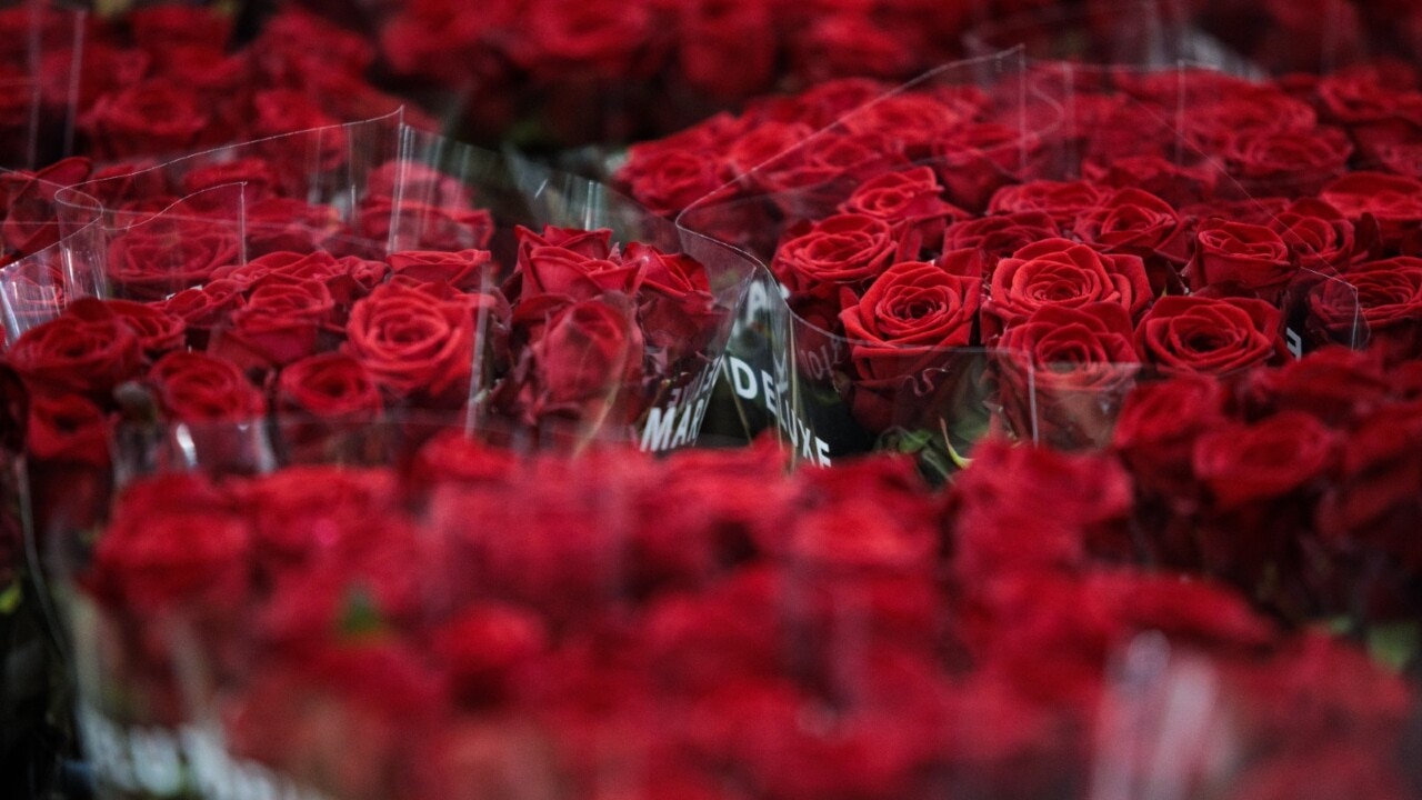 ‘Roses are red, violets are blue’: UK spent almost £1.4 billion on Valentine’s Day