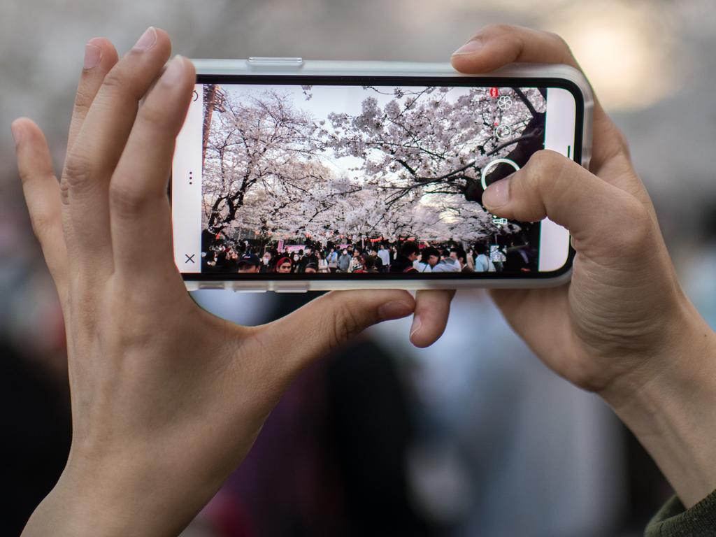 A woman photographs cherry blossom on her smartphone in Ueno Park on March 25, 2018 in Tokyo, Japan. The Japanese have a long-held tradition of enjoying the blooming of cherry blossoms. The blossom is deeply symbolic, it only lasts for around one week and marks the beginning of spring. It is claimed that the short-lived existence of the blossom taps into a long-held appreciation of the beauty of the fleeting nature of life, as echoed across the nation’s cultural heritage. Picture: Getty Images