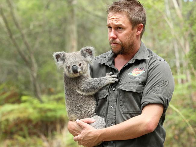 Australian Reptile park manager Tim Faulkner with a koala. . Picture by Mark Scott