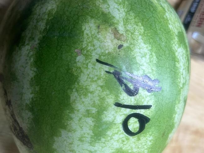 Queensland farmer sells 7kg watermelon for $10. Picture: Supplied