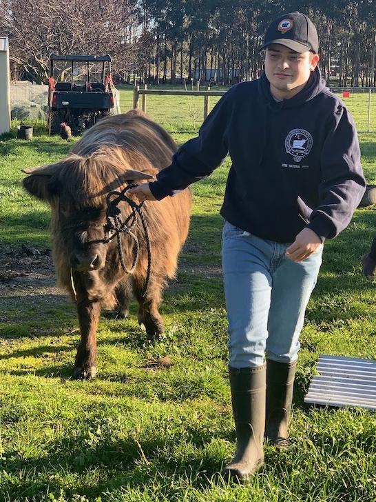 Will Pierce with a Highland cattle, one of his passions in life. Picture: Supplied