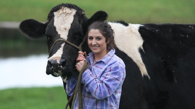 Quality: Holstein stud breeder Jayne Walters at Kindred with Cradleview Lheros Topsy, one of her favourite cows.