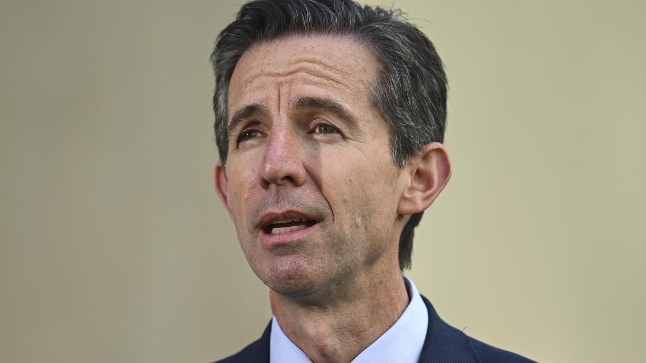 Simon Birmingham says Mr Albanese has to come clean. Picture: NCA NewsWire / Martin Ollman