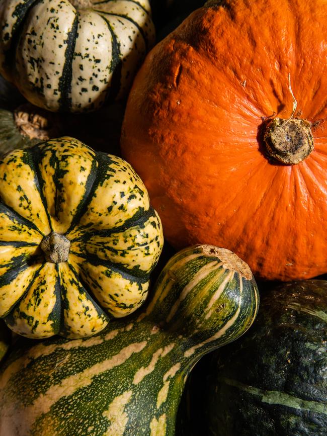 There’s something magical about cooking a whole pumpkin. Picture: Nikki To