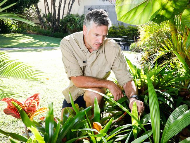 Dennis Scott gardening guru and columinst pictured in Manly.