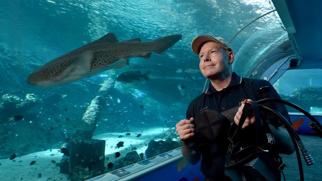 Behind the scenes at Reef HQ. Reef Education Officer Craig McGrogan. Picture: Evan Morgan