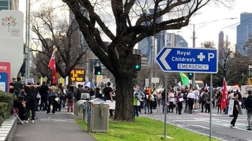 The anti-vax protest at the Royal Children's Hospital in Melbourne. Picture: Twitter