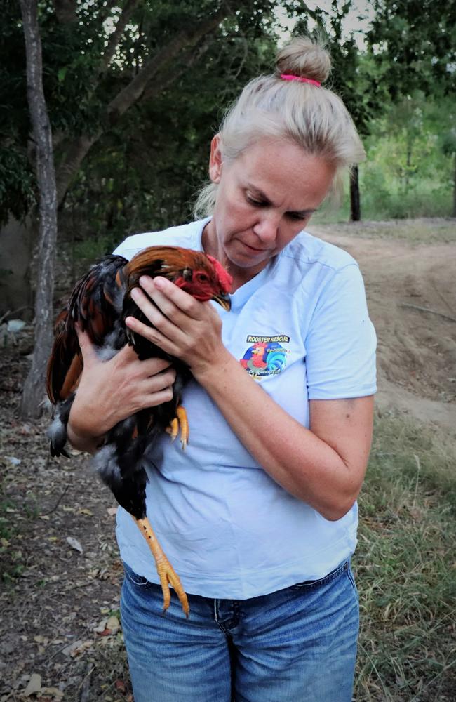 RRRNQ member Renay Robinson with Elwood, a rooster dumped near Ross River Dam who has since been rehomed. Picture: Supplied.