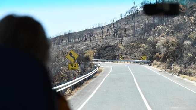 A view of the fire ravaged sidings of the Great Ocean Road. Picture: Jason Sammon