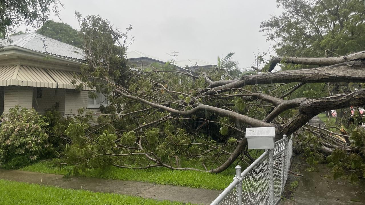 This Bayswater Rd, Currajong home was partially stuck by a fallen tree in overnight winds.