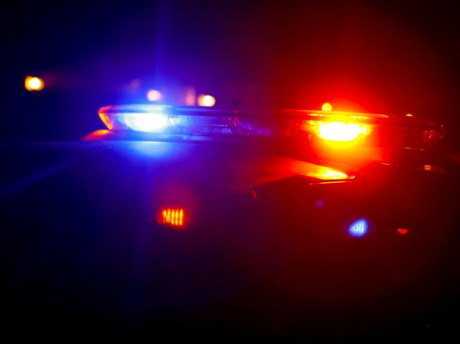 Police will be after you should you take your pet pig on a bus.