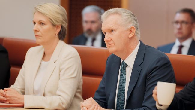 Environment Minister Tanya Plibersek and Home Affairs and Immigration Minister Tony Burke. Picture: NewsWire / David Beach