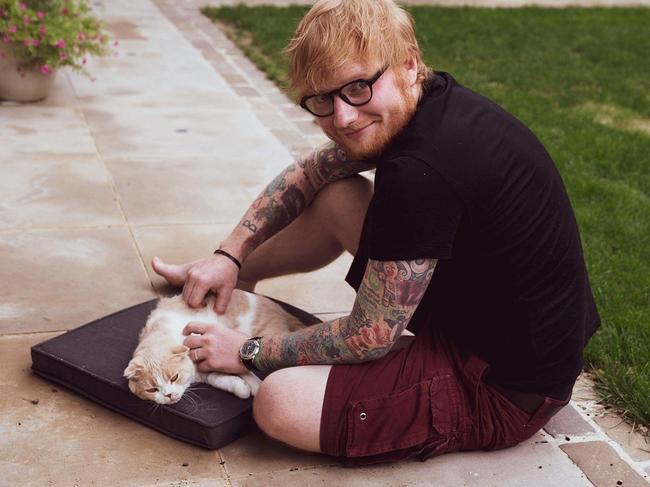 Ed Sheeran and one of his cats, Calippo &amp; Dorito. Picture: Instagram @teddysphotos