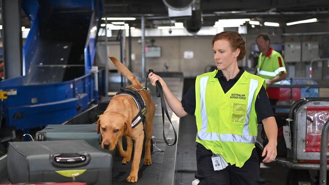 Detector dog handler Jacqui with Lynch. Picture: Keryn Stevens