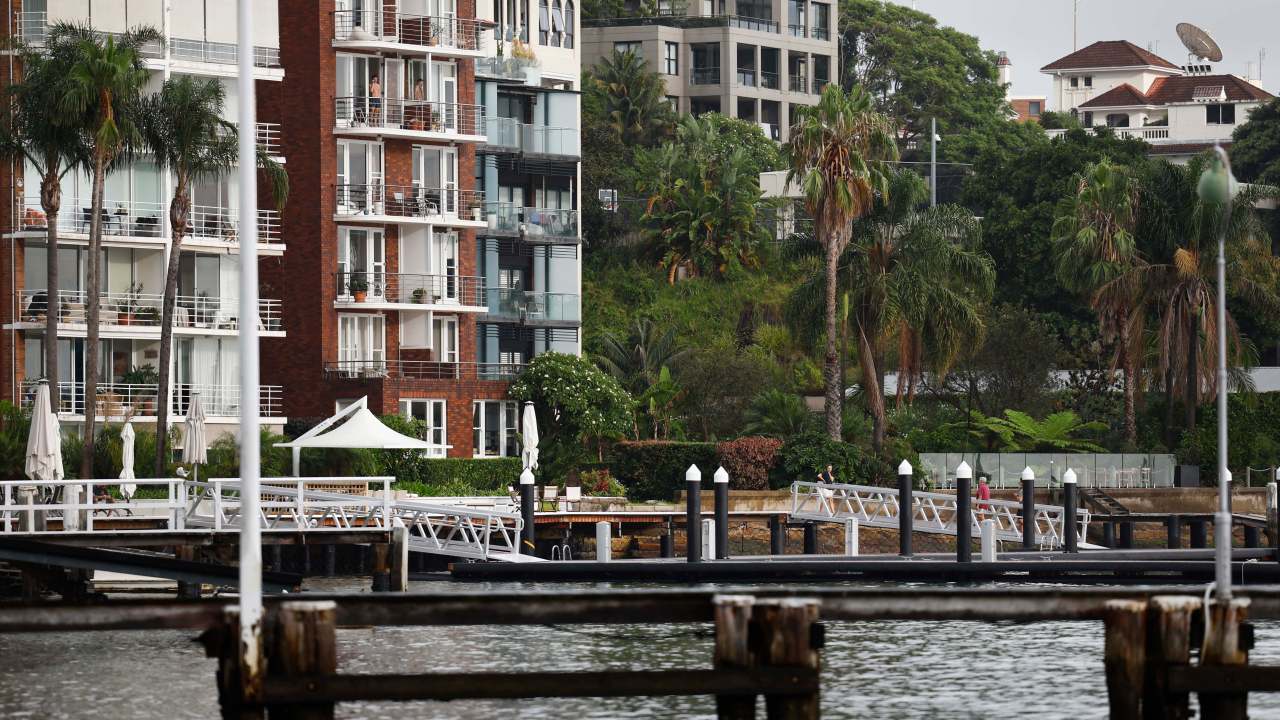 Woman in stable condition after shark attack in Sydney Harbour as first