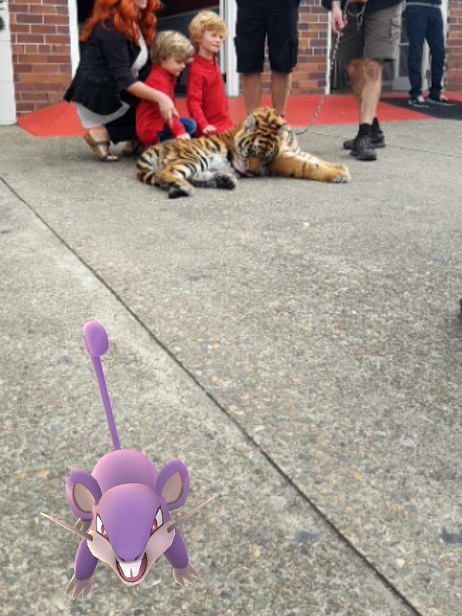 Pokemon Go characters at Dreamworld.