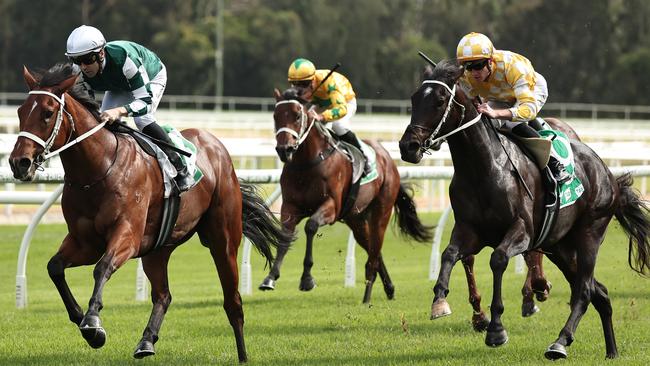 Hidden Achievement (green) and Sarapo (yellow) both deserve following. Picture: Jeremy Ng-Getty Images.