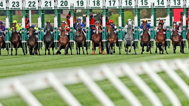 MELBOURNE, AUSTRALIA - NOVEMBER 01:  A general view as the horses break from the barriers at the start of Race 7, the Emirates Melbourne Cup on Melbourne Cup Day at Flemington Racecourse on November 1, 2016 in Melbourne, Australia.  (Photo by Scott Barbour/Getty Images)