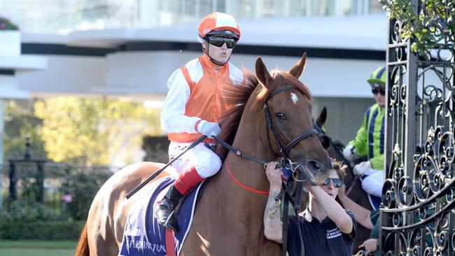 Jockey Craig Williams rides Vow And Declare before unplaced finish in race 4, the William Newton Vc Handicap, during Anzac Day Race Day at Flemington Racecourse in Melbourne, Saturday, April 25, 2020. (AAP Image/Supplied by Reg Ryan, Racing Photos)  NO ARCHIVING, EDITORIAL USE ONLY