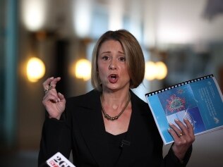 CANBERRA, AUSTRALIA NewsWire Photos AUGUST 25 2021:  
Deputy Leader of the Opposition in the Senate Kristina Keneally at a morning press conference at Parliament House in Canberra.
Picture: NCA NewsWire / Gary Ramage