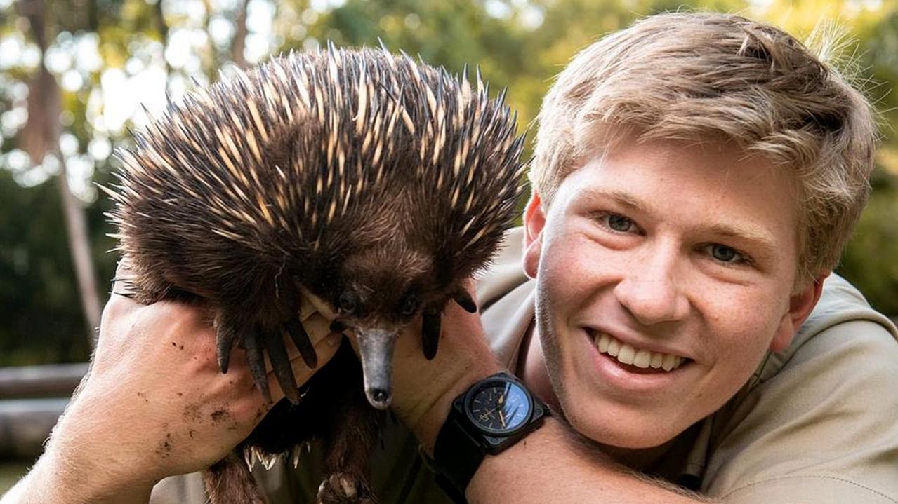 Steve Irwin: Robert Irwin’s emotional Father’s Day message to his late ...