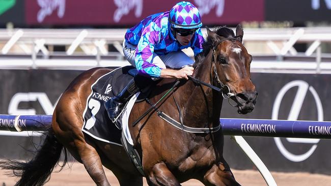 Super mare Pride Of Jenni was named Horse Of The Year for last season. Picture: Pat Scala / Racing Photos