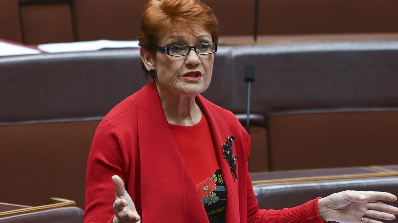 Senator Pauline Hanson blasted David Pocock. Picture: NCA NewsWire/Martin Ollman