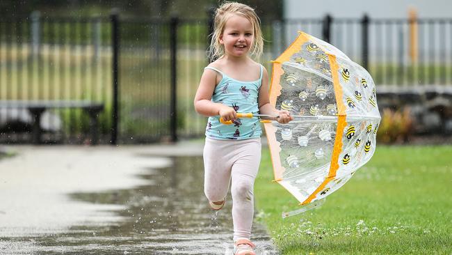 Maple Stranger, 3 of Warrane plays in the rain in Lindisfarne. Picture: Zak Simmonds