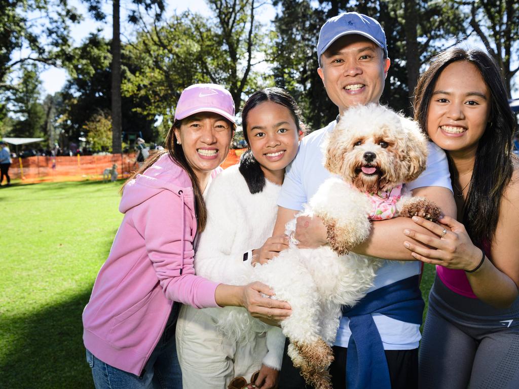 Munchkin with family (from left) Hazel, Cassie, Julius and Chloe Soriano at the Million Paws Walk in Queens Park, Sunday, May 25, 2025. Picture: Kevin Farmer
