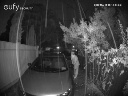 Attempted theft from a motor vehicle in South Geelong on Friday morning