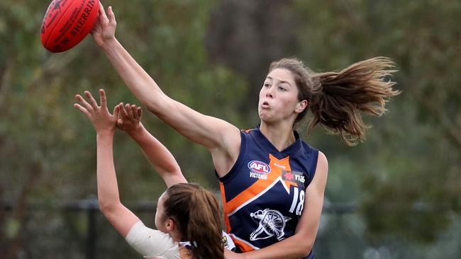 Towering Cannons starlet Tahlia Gillard is one of the league’s most versatile talls.