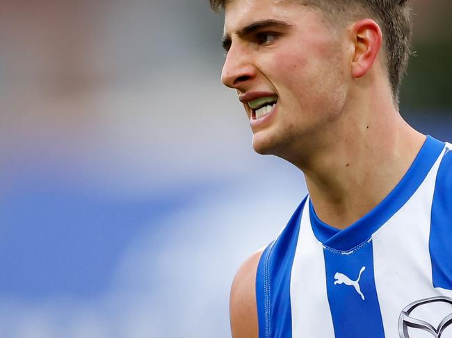 Harry Sheezel broke an AFL record at Blundstone Arena, Photo by Dylan Burns/AFL Photos via Getty Images.