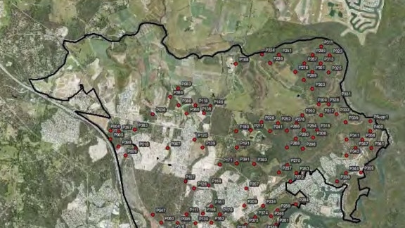 From a Biolink study for the Gold Coast City Council - potential koala locations at Coomera.