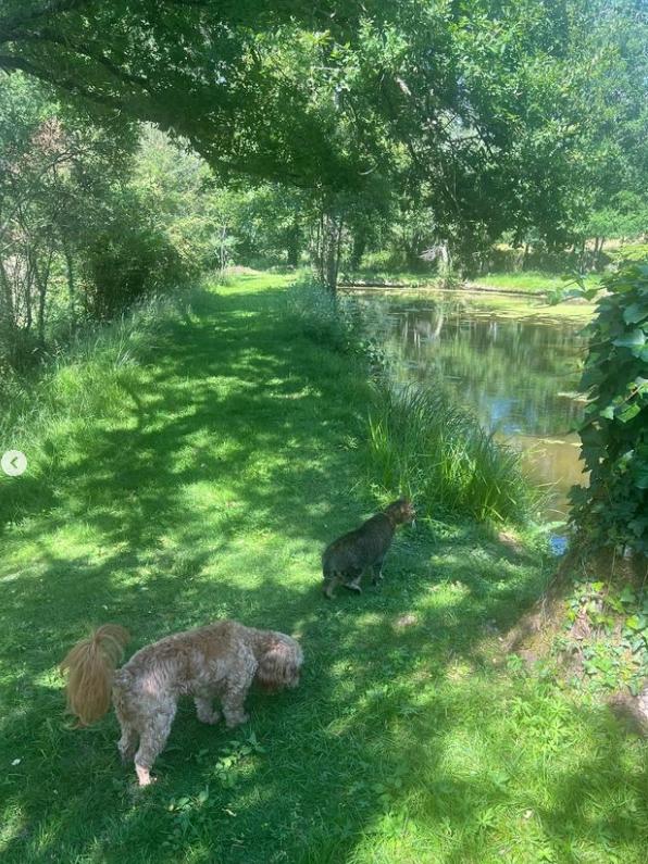 The small lake on the property where Brittany Higgins and David Sharaz lived. Picture: Instagram