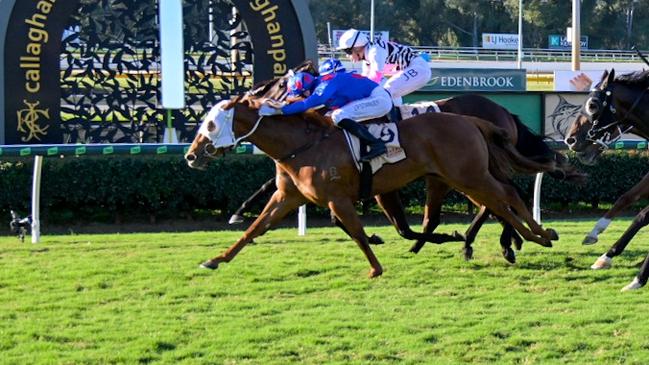 Honkytonk Diva surges late to win the Rockhampton Newmarket for trainer Clinton Taylor and jockey Justin Stanley. Picture: Caught In The Act Photography CQ