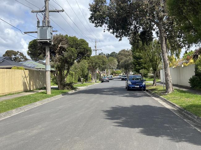 Mr Tran says the Bellbird Dr is too skinny to accommodate more cars. Picture: Erin Constable