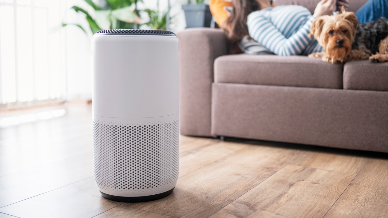 Freshen up the air around you with our round up of the top air purifiers. Picture: iStock.