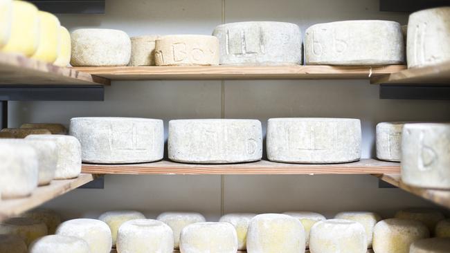 Bruny Island Cheese Company uses traditional techniques to produce some of the finest artisan cheeses made in Australia. Picture: Tourism Tasmania.