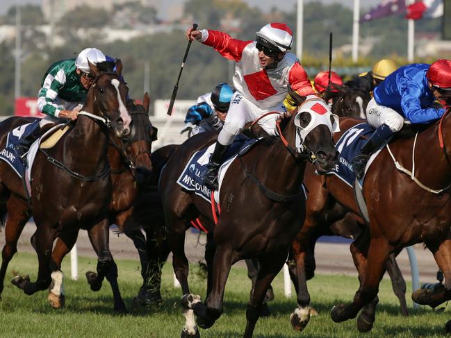 Tasmanian mare Mystic Journey makes her return to the track.