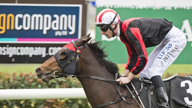 LEADING HOPE: Luke Dittman will partner In Agreement at Ipswich tomorrow. Photo: File