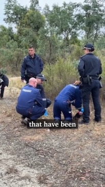 Police initiate search in Mount Clear for missing Ballarat mum